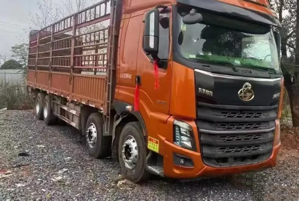 Used Dongfeng Cargo Lorry 8x4 420hp Special Logistics Truck